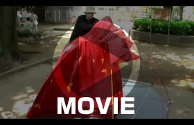 動画