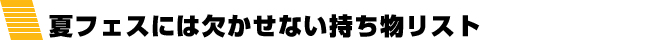 夏フェスには欠かせない持ち物リスト