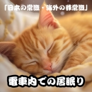 「日本の常識・海外の非常識」 Vol.1 日本の「居眠り」は、世界の「イネムリ」へ
