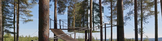 大人の隠れ家：スウェーデン『TreeHotel』