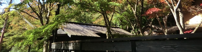 大人の隠れ家：兵庫・再度山にある土日祝限定の隠れ家カフェ「はなれ家」