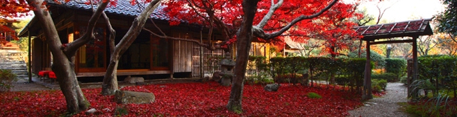 大人の隠れ家：期間限定の幻想的な風景を楽しめる京都の寺院「厭離庵」