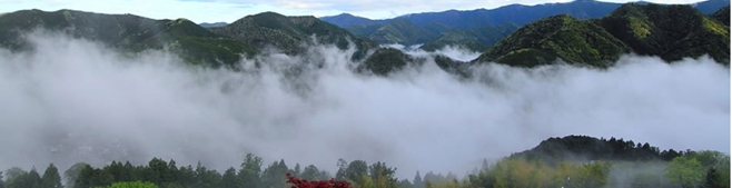 大人の隠れ家：雲海が見渡せる和歌山の隠れ家宿 霧の郷たかはら
