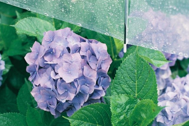 雨の日撮影で注意すべきポイントのイメージ