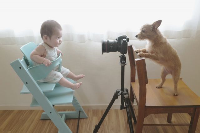 【初心者向け】カメラ三脚の選び方|種類とチェックすべき5つのポイントのイメージ