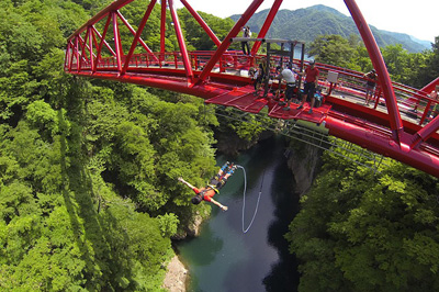 bungy1.jpg